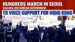 Hundreds March in Seoul Calling for Korean Government to Voice Support for Hong Kong