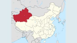 Lack of Answers Makes ‘Clear’ Missing Academics Are Detained in Xinjiang Camps: Exile Group