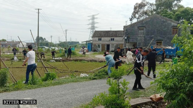Government-hired personnel are tearing down trellises in Pingyang county.
