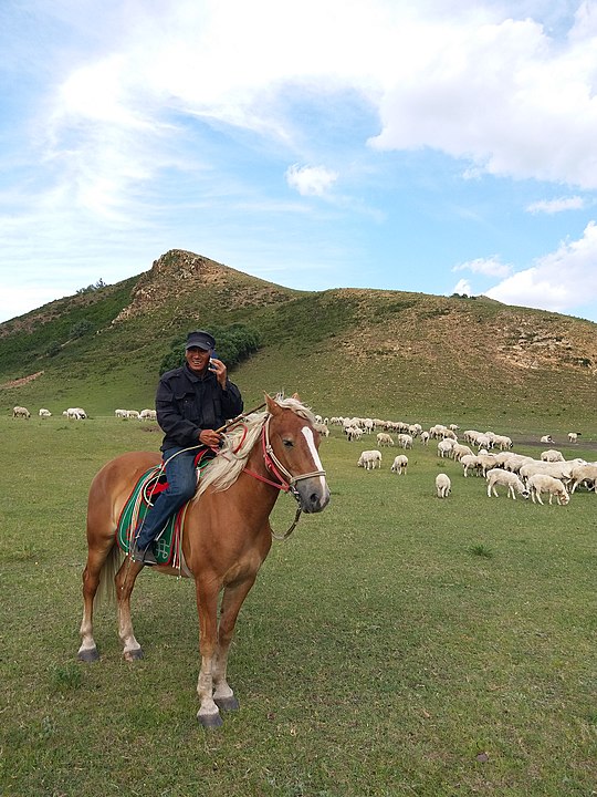 Herdsman in Heshigten