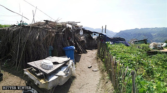 One of the bamboo sheds where more than 30 elderly people live.
